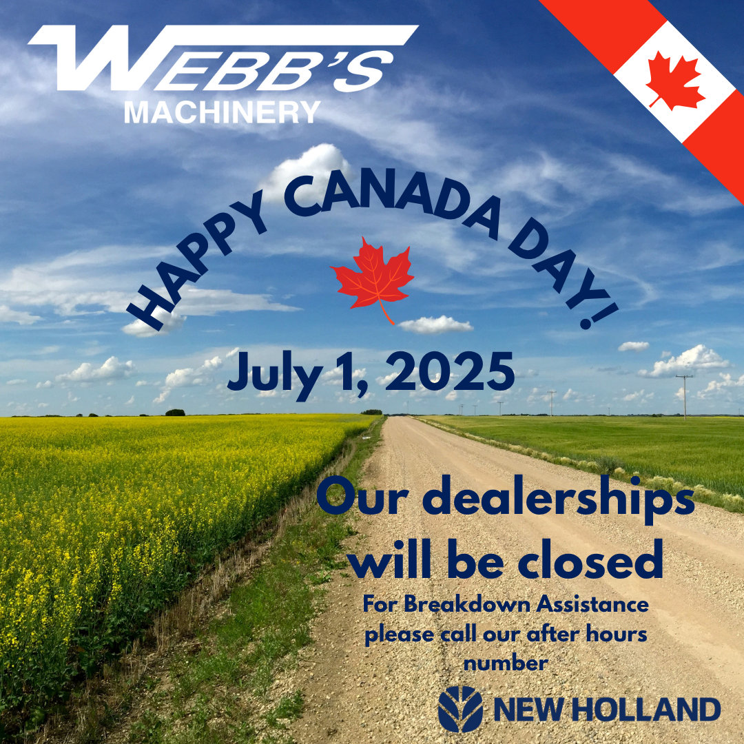 Canada Day Flyer